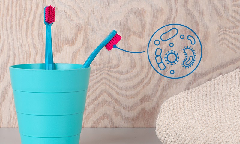 À quelle fréquence doit-on changer de brosse à dents ?